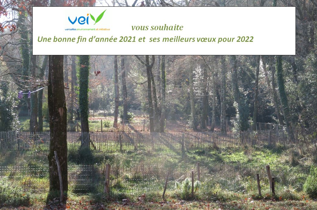 Meilleurs voeux pour 2022